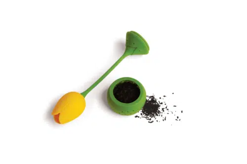 Ototo Tulip thee ei geel