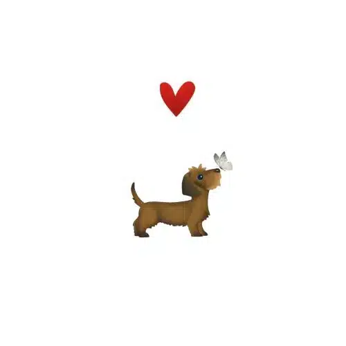 Yon gevouwen kaart teckel met vlinder