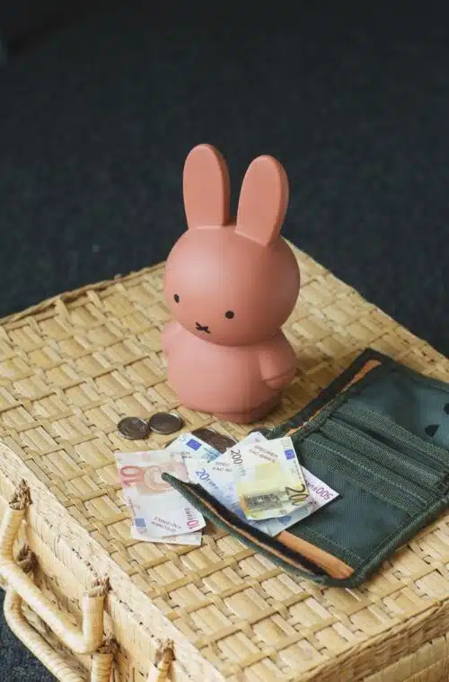 Atelier Pierre Nijntje spaarpot H19cm Terra