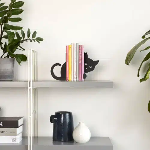 Balvi Boekensteun hidden cat