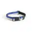 HAY Honden halsband s/m blauw-gebroken wit