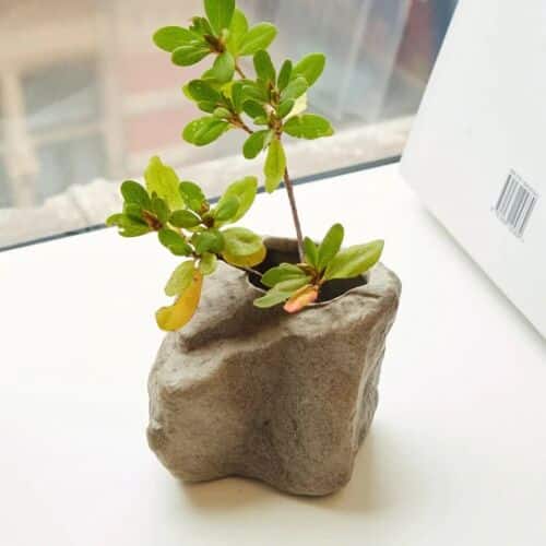 KIKKERLAND kleine steen vaas