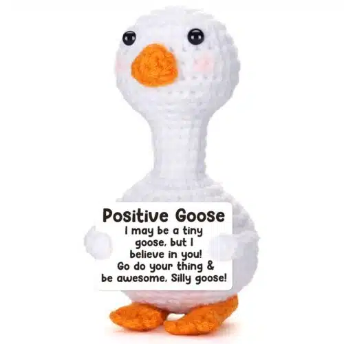 Positive friends - geluksknuffeltje Gans