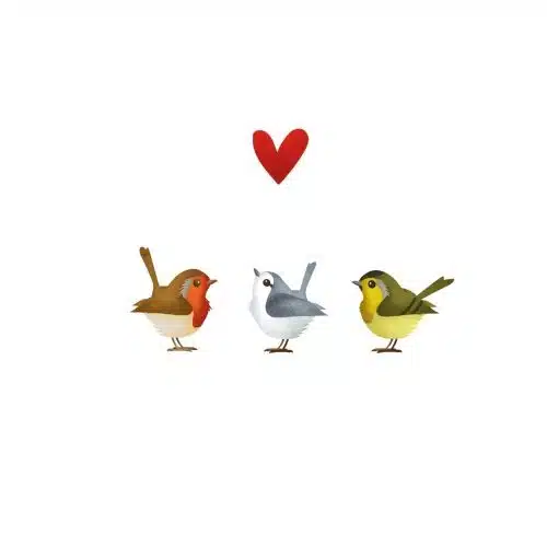 Yon gevouwen kaart 3 vogeltjes