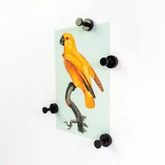 Trendform Magneten Hang On! - Set van 4 - Zwart